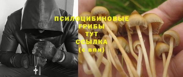 мяу мяу мука Абдулино
