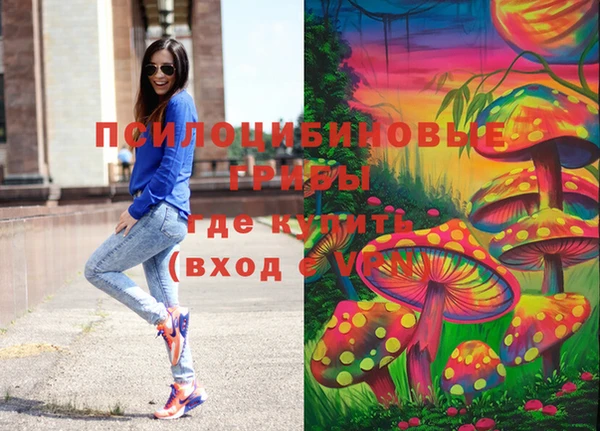 а пвп мука Абаза