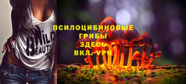 а пвп мука Абаза