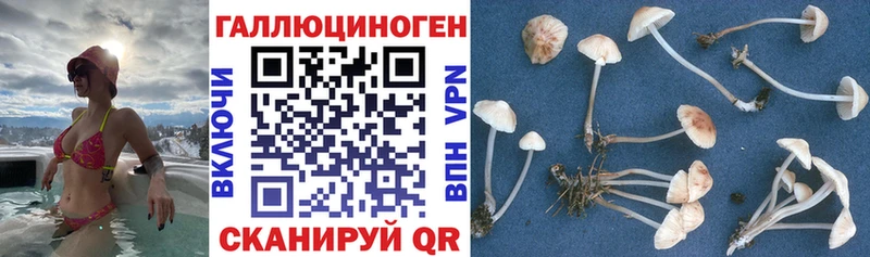 Псилоцибиновые грибы Magic Shrooms Грозный