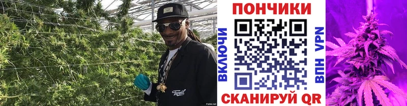 Каннабис OG Kush kraken зеркало Грозный